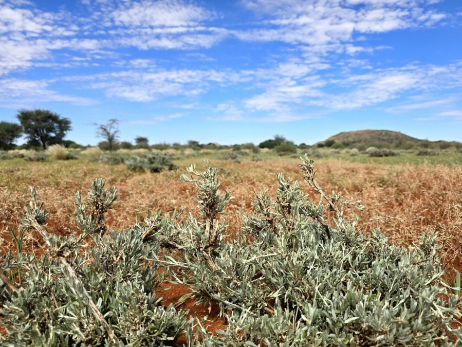 Commercial Property for Sale in Griekwastad Rural Northern Cape